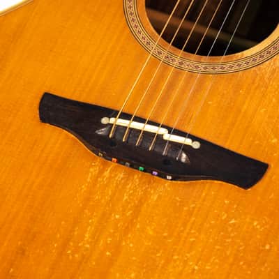 Takamine Acoustic NP-25C Owned by Nils Lofgren image 7