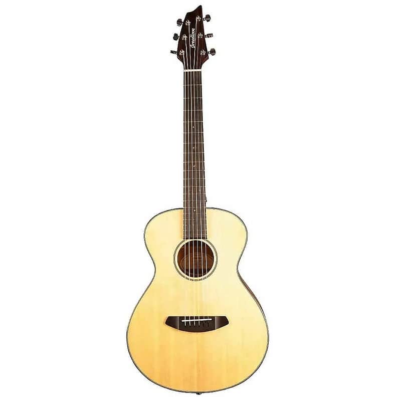 Breedlove Discovery S Companion image 1