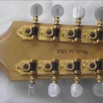 Tacoma M3 Mandolin with hard shell case image 6