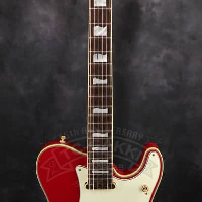 Fender Japan Terry-1 ANNIVERSARY Mod image 3