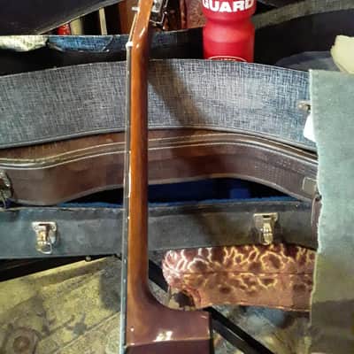 Alvarez 5221 12 String Mahogany image 9