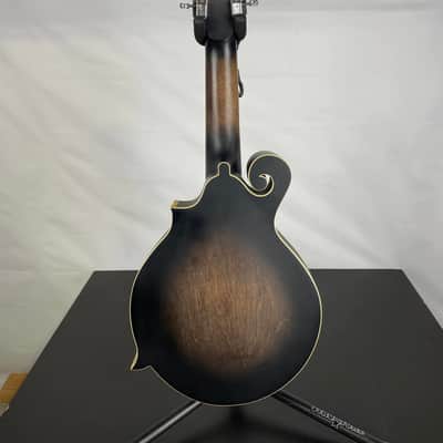 Gold Tone F-12 Long-Scale Manditar A-Style 12-String Acoustic-Electric Mandolin/Guitar, Solid Spruce Top, Tobacco Sunburst Satin image 4