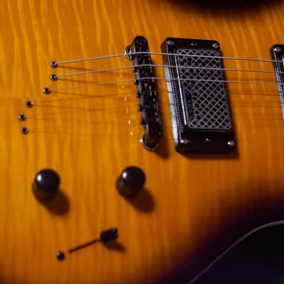 Eko Aqua Honeyburst image 2