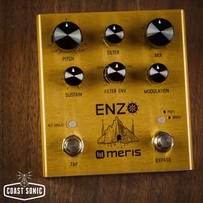 Mint Meris Enzo Multi Voice Instrument Synthesizer image 1