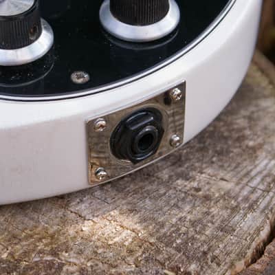 Vintage 1970's John Birch Bass In Rare Arctic White image 16