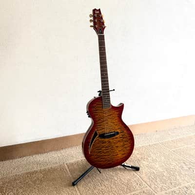 ESP LTD TL-6 with Jatoba Fretboard 2020 - Present - Tiger Eye Burst image 3