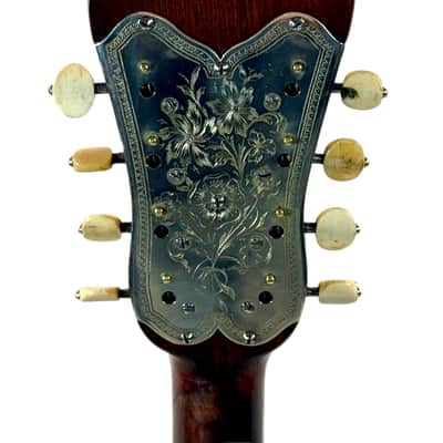 Umberto Ceccherini Mandola / Octave Mandolin (Giovanni Palladino Label) 1896 image 15