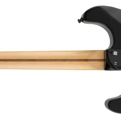 FENDER - Jim Root Stratocaster  Ebony Fingerboard  Flat Black - 0114545706 image 2