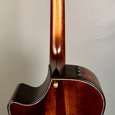 Taylor K14ce Builder's Edition V-Class image 14