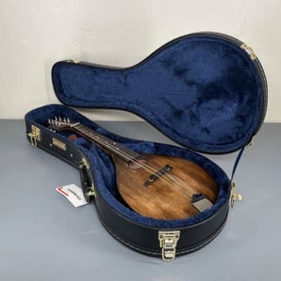 美しいイタリアのマンドリン1915年製G. Puglisi Neapolitan 美しい