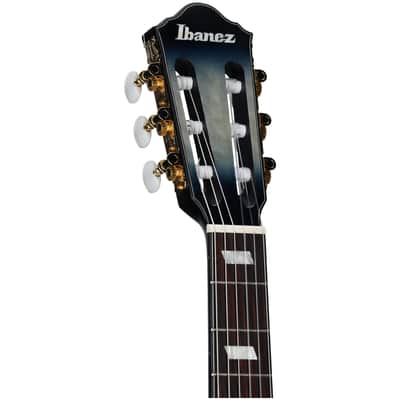 Ibanez FRH20QMN Acoustic-Electric Guitar image 7