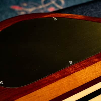ALEMBIC MJLB5F Signature Standard 2010 image 16