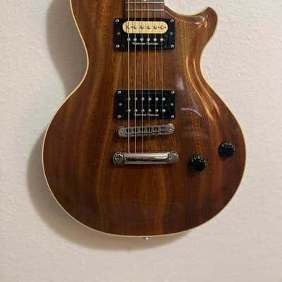 Washburn USA Shop - Custom - w/ Case image 1