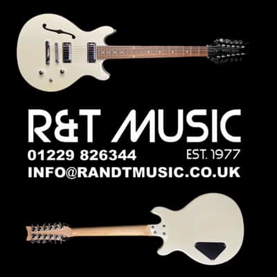 Daisy Rock Retro-H 12 String Electric Guitar in White Pearl W/ Gigbag image 8