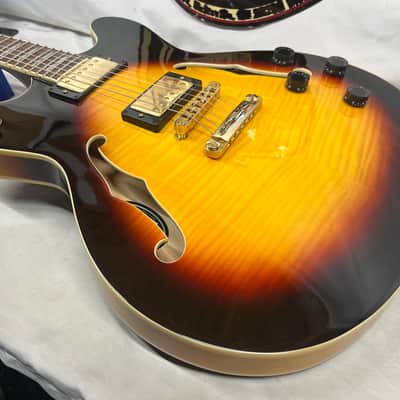 Peavey JF-1 Semi-Hollow Body Electric Guitar image 19