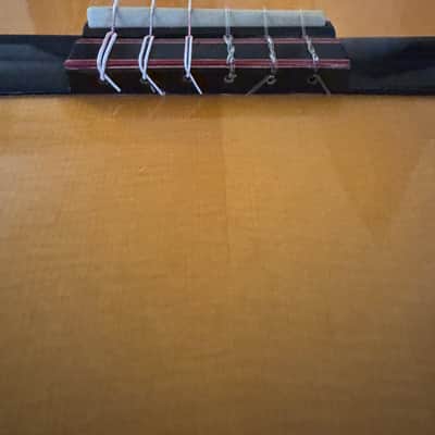 Di Giorgio Master E Classical Acoustic Nylon Guitar 2011 image 3