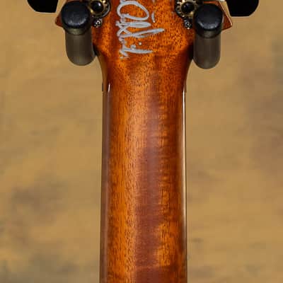 2012 PRS DGT Custom Color Blue Green Fade 10 Top Birds image 6