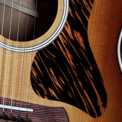 Taylor Gold Label 517e SB Mahogany / Torrified Spruce Acoustic-Electric Guitar image 12