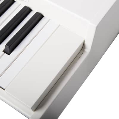Mellotron M4000D Digital Mellotron image 2