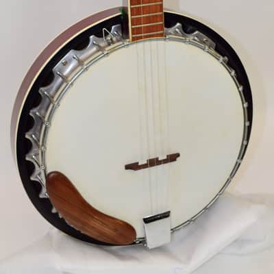 Vintage 70's Lark LBJ-25 Closed Back 5-String Banjo image 2