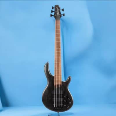 Cort Artisan Element 5-String Bl Open Pore Finish image 2