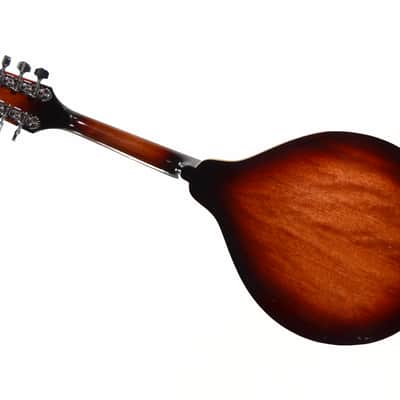 Fender FM52E – Acoustic/Electric Mandolin w/ Gig Bag – Used - Sunburst image 2