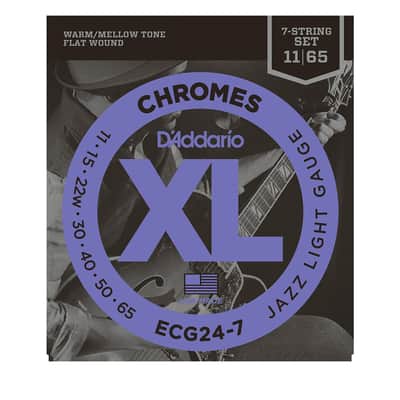 ECG24-7 Chromes Flat Wound Jazz Light 11-65 D'Addario image 1