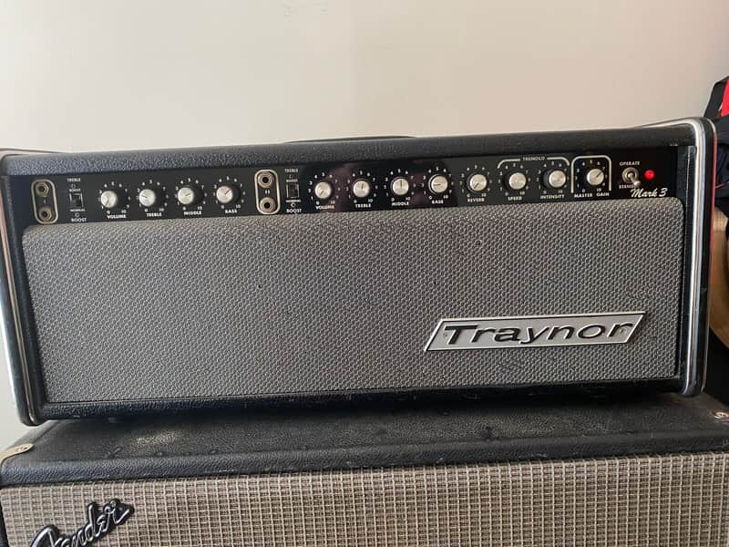 Traynor YGL 3A Mark 3 Mid 70’s - Grey image 1