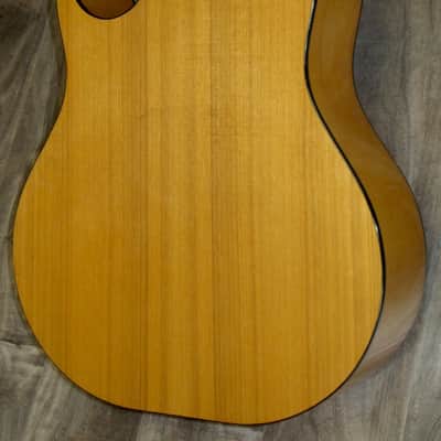 1971 Smith BW-18-P 18-String Cutaway image 5