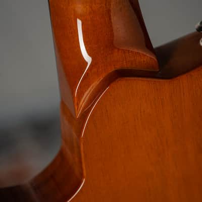 Knaggs Kenai - Amber image 21