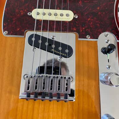 Fender Player Plus Nashville Telecaster with Pau Ferro Fretboard 2023 - Present - Sienna Sunburst image 5