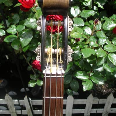 Ampeg AEB-1 Bass 1968 image 3