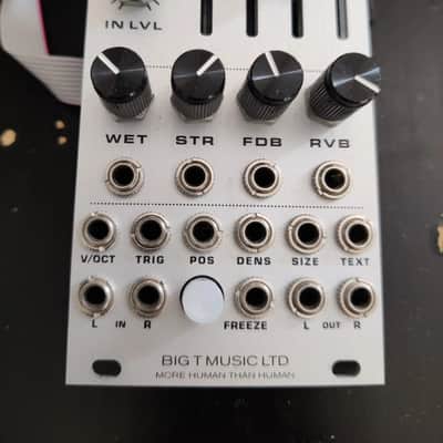 Big T Monsoon Mutable Instruments Clouds Clone Eurorack Module image 2