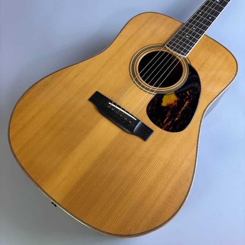 Yairi YW-500R