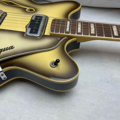 Fender Coronado II 2 Semi-Hollowbody Guitar with Case s/n 180861 - Antigua image 5