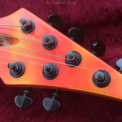 Rand (Haverner)/Tom Anderson (Doyle/Misfits) Annihilator 1989 Multicolor image 5
