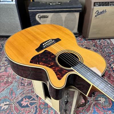 Takamine DMP050S OM Style w/Case and Candy 2012 image 13