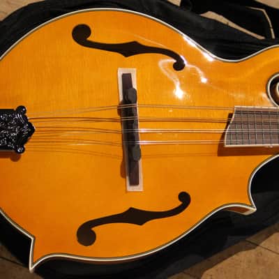 Rover RM-75 Deluxe Student F-Model Mandolin Flamed Maple image 2
