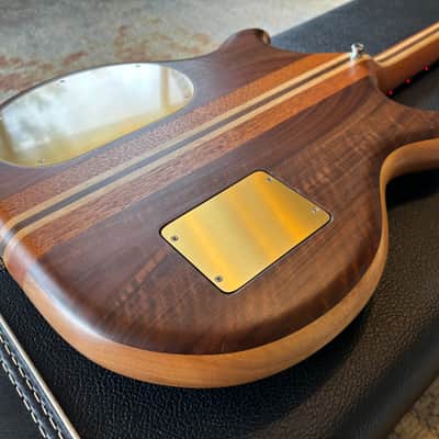 Alembic Stanley Clarke BBSB4 Brown Bass Short Scale 2012 LED's Immaculate image 18