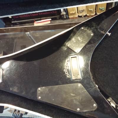 Epiphone "Demon FX" V with Case image 6