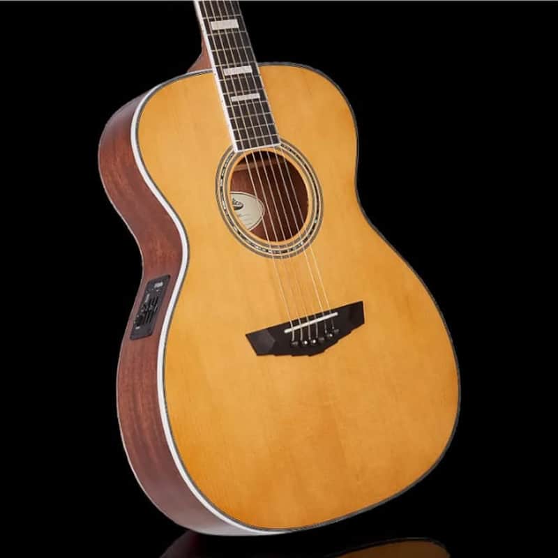 D'Angelico Premier Tammany with Electronics, Vintage Natural image 1