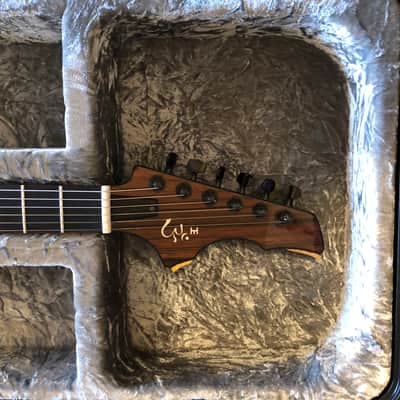 Equator Instruments Languedoc style Hollowbody Guitar image 4