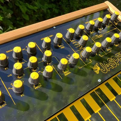 Jasper Synth - EDP Wasp Clone - MIDI IN - Finished DIY Kit image 8