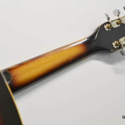 Lignatone Guitar image 8