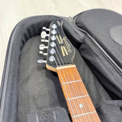 Dragonfly HI-STA 22 CUSTOM image 4