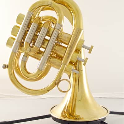 Brasspire Pocket Trumpet P7: Maybe the best pocket trumpet out there? image 2
