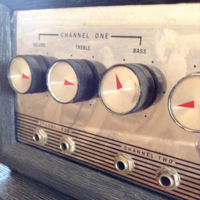 Danelectro DM-25 '66 25W 1x12" Reverb & Vibrato NEAR MINT image 11