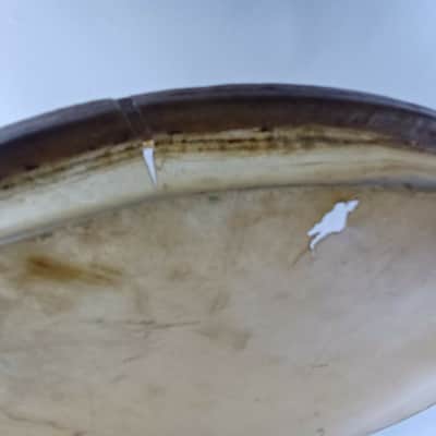 Ludwig 14" Resonant Slunk Calf Skin Snare Drum Tom/Parade/Concert Head 20s US image 7