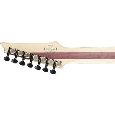 Ibanez RGIXL7 Iron Label 7-String Guitar w/ Dimarzio Pickups - Black Flat image 9