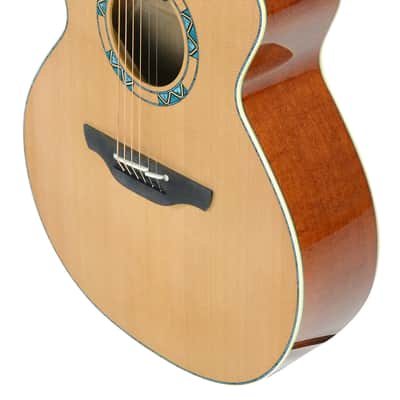 Takamine Limited 2023 Santa FE image 3